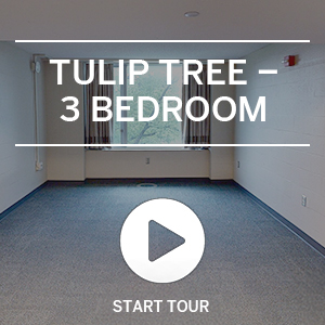 tulip tree 3 bedroom tour start image